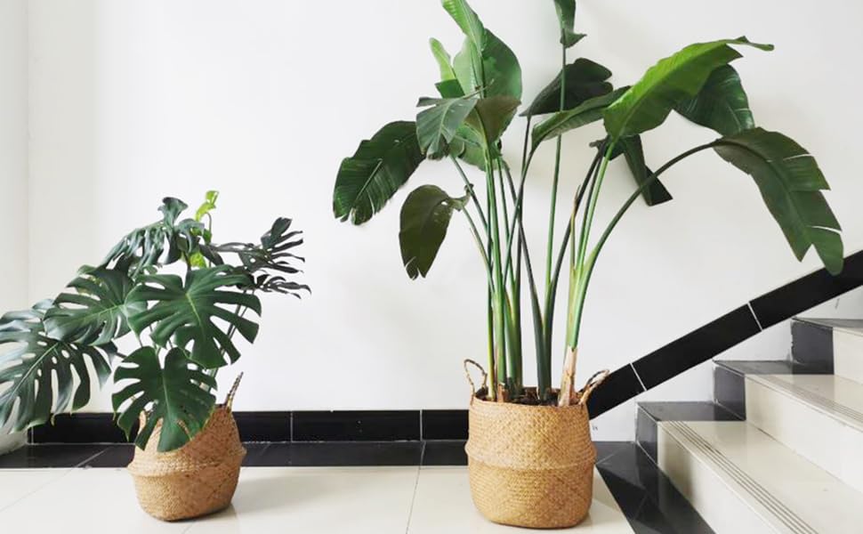 coussins cosy pas chère