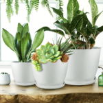 déco printemps 2026 intérieur tendance pas cher