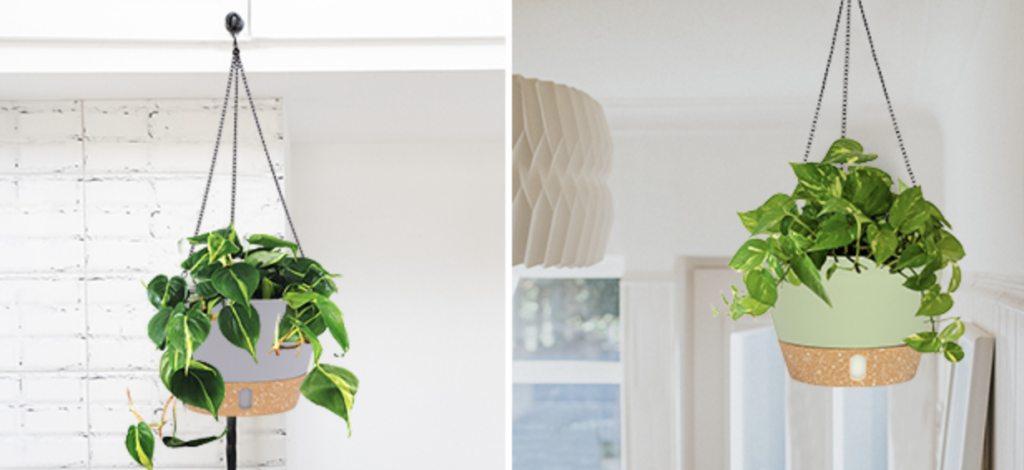 déco printemps 2026 intérieur tendance pas cher