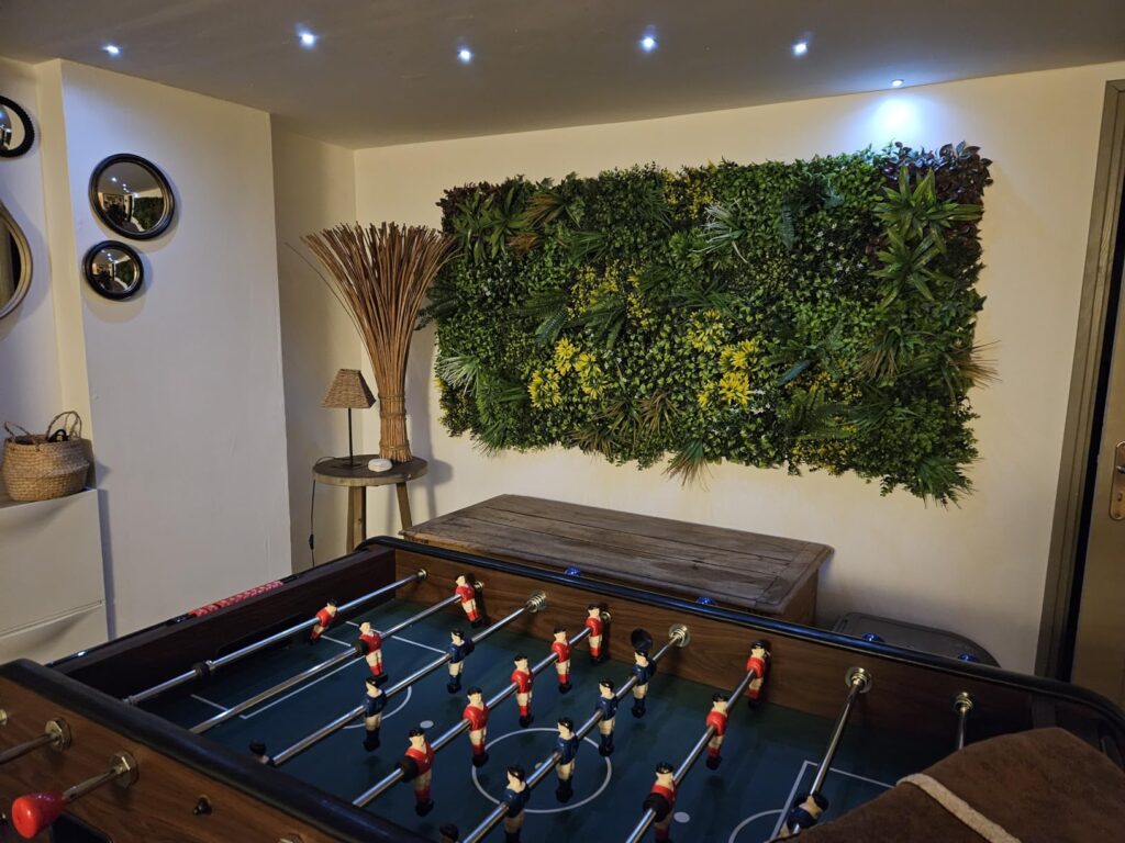 panneaux végétaux stabilisés mur TV tendance